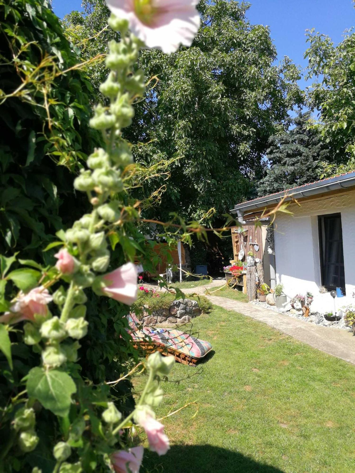 Bungalow Bei Warnemuende Elmenhorst/Lichtenhagen Luaran gambar